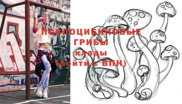 метадон Верея