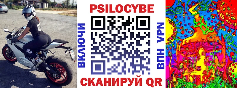 кракен как зайти  как найти наркотики  Невинномысск  Псилоцибиновые грибы Magic Shrooms 